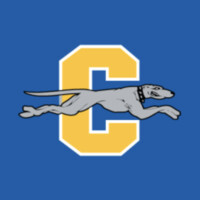 Carmel High School logo - Similar company to Mchenry Public Library District