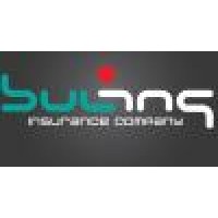Bulins Insurance Company