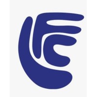 Level Field Consulting logo - Similar company to Strateffect Advisory