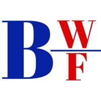 Blue Water Footstep * Business Consulting Agency logo - Similar company to Funis Consulting Ltd