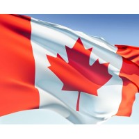 Montreal Immigration Lawyer - Berta Biscevic Attorney logo - Similar company to Porta.Biz