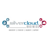 The Silver Cloud Business logo - Similar company to Systematic Data Solutions Ltd
