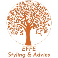 EFFE Styling & Advies logo - Similar company to Pr Flex B.V.