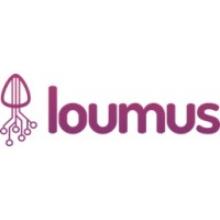 Loumus Data Systems logo - Similar company to Cargo Flash Infotech