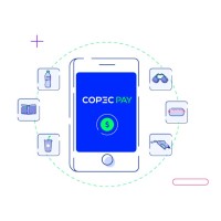 Copec Pay logo - Similar company to Apipay
