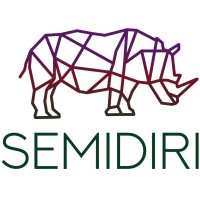 Semidiri LLC logo - Similar company to Hexterra