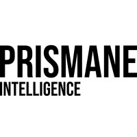 Prismane Intelligence logo - Similar company to Prismane Consulting