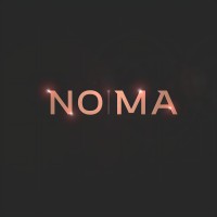NOMA logo - Similar company to Humanizer
