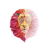 Dreamvise Ltd