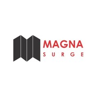 Magna Surge logo - Similar company to Rpnb Safe