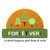 FORt ÊT VERt logo - Similar company to Jp Maree