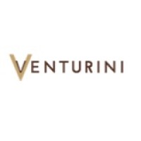 Venturini Footwear India Pvt. Ltd. logo - Similar company to Foggy Shoes
