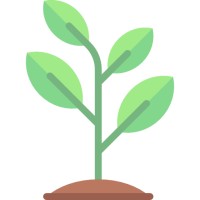 Sean O Cox logo - Similar company to Uptech - Accelerate Big Ideas