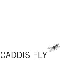 Caddis Fly logo - Similar company to Americandreams