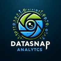 DataSnap Analytics logo - Similar company to Datasnap