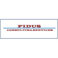 Fidus Consulting Services logo - Similar company to Board Connect