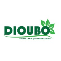 Dioubo Sarl logo - Similar company to Yité Technologies