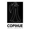 COPIHUE GESTIÓN INMOBILIARIA logo - Similar company to Destino Lab
