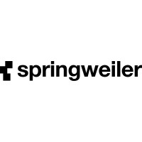 springweiler ingenieure logo - Similar company to Oekogeno Eg