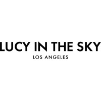 LUCY IN THE SKY INC logo - Similar company to David One