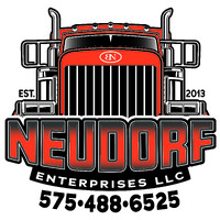 Neudorf Enterprises Llc
