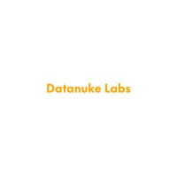 datanuke labs logo - Similar company to Instadata