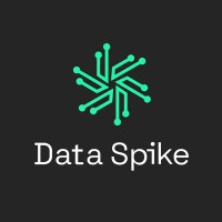 Data Spike logo - Similar company to Dataxdev