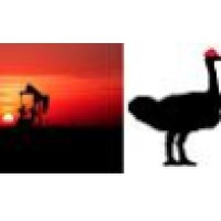 The Ostrich Oil & Gas logo - Similar company to Ostrich