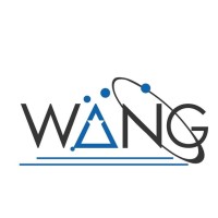 WANG PROFESSIONALS PRIVATE LIMITED logo - Similar company to Dkg Sales Private Limited