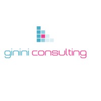 Ginini Consulting logo - Similar company to Geo Lens- Data Solutions
