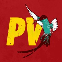 Positive Vibration - Festival of Reggae logo - Similar company to Kanaval