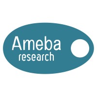 Ameba Research logo - Similar company to Insights + Analytics España