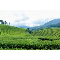 skyseo logo - Similar company to Studiomail.Fr