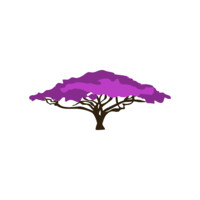 CANOPY BI LIMITED logo - Similar company to N/A