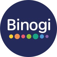 Binogi International logo - Similar company to Iversoft Inc