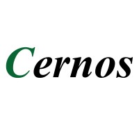 Cernos Oy logo - Similar company to Dmx Ltd