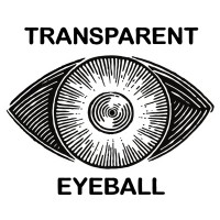 Transparent Eyeball logo - Similar company to Palliakid