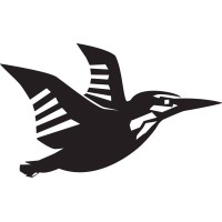 Nouse logo - Similar company to Fetch London