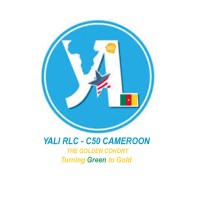 YALI RLC - C50 - AGRIBUSINESS COHORT CAMEROON logo - Similar company to Luena Foundation