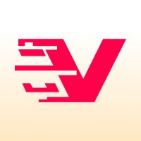 Vanguard Studios logo - Similar company to Playpower Foundation