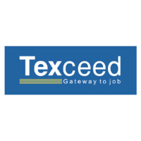 Texceed institute logo - Similar company to Seed Infotech Ltd