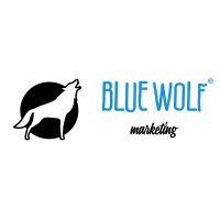 BLUE WOLF logo - Similar company to Double V Information Technology