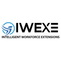 IWEXE logo - Similar company to Scriptedwebs