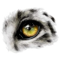 Ice Leopard Imaging logo - Similar company to Mechabitz