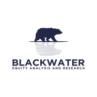 BlackWater Equity Analysis and Research (BEAR) logo - Similar company to Equity Analysis & Strategy