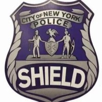 Silver Shield Investigations logo - Similar company to Pi-Perspectives