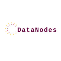 DataNodes logo - Similar company to Datanodes Technologies