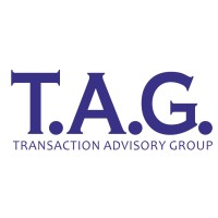 Transaction Advisory Group logo - Similar company to Transaction Advisory Services