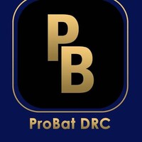ProBat Drc logo - Similar company to Neotex.Ai Rdc