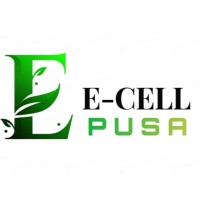 E-CELL  PUSA logo - Similar company to Ultimate Computech Pvt.  Ltd.
